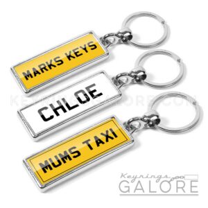 registration license plate example keyrings